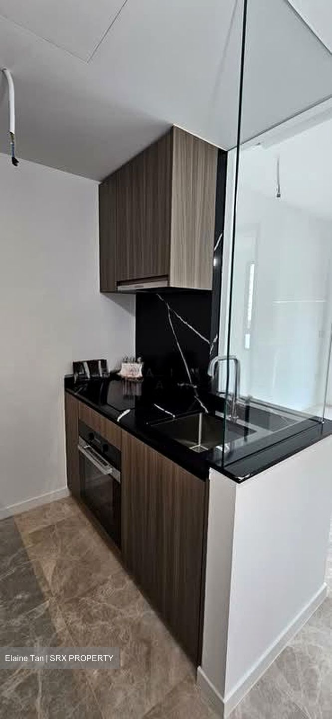 Irwell Hill Residences (D9), Apartment #565838401